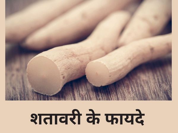 Shatavari benefits