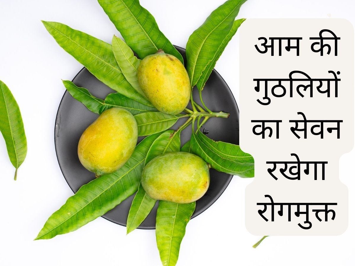 Benefits Of Mango Seed know the benefits of mango seed कूड़े में