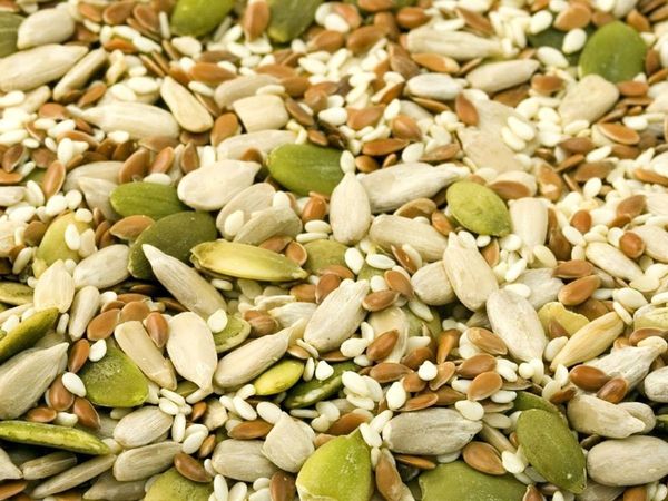 Benefits of Sunflower Seeds