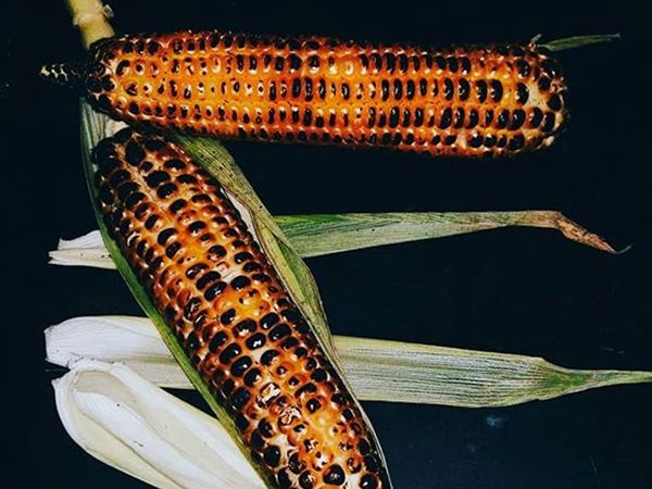 Healthy Benefits of corn