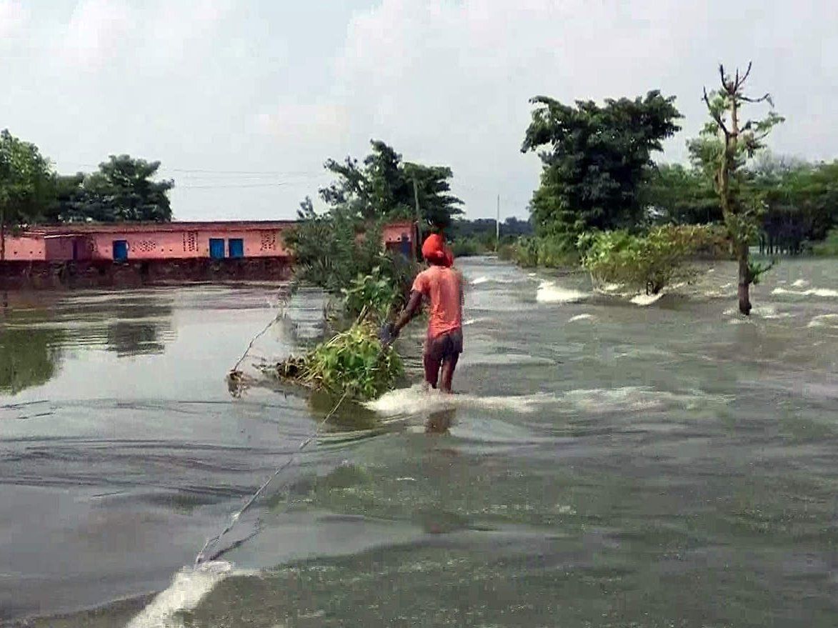 Bihar Flood News In Hindi