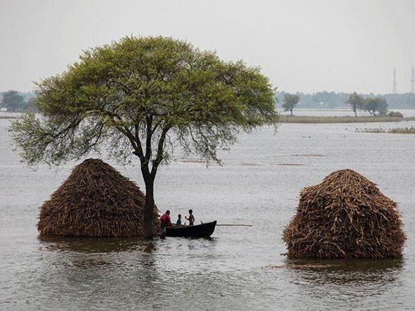 bihar flood