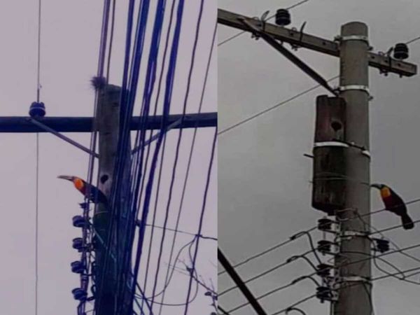 harkhand government will give so much compensation on death due to current