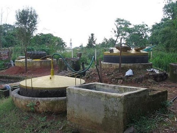 Cars will run on gas made from cow dung