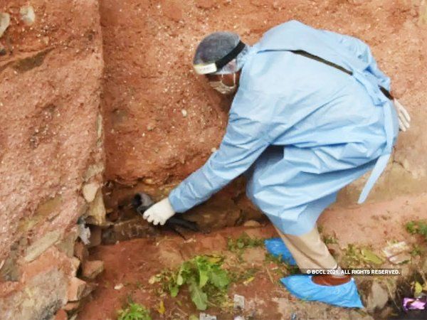 bird flu in kanpur zoo