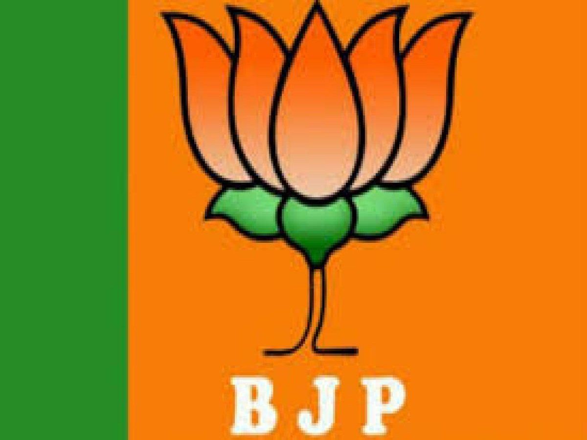 J&K DDC Election Results : गुपकार गठबंधन आगे लेकिन बीजेपी बड़ी पार्टी के तौर पर उभरी