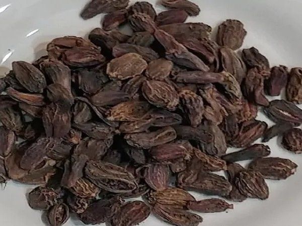 black cardamom health benefits