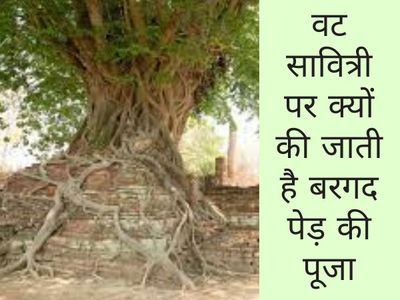 Banyan Tree puja