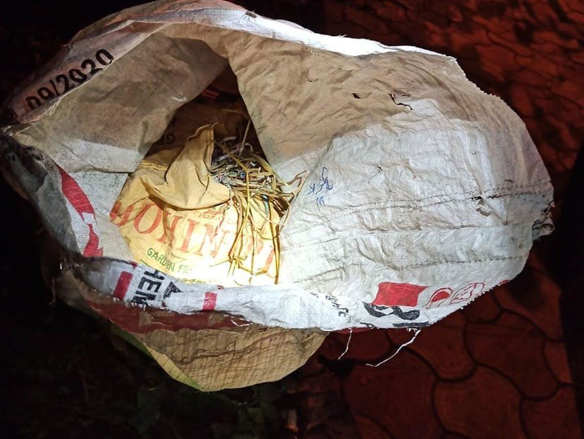 Crude Bombs:कोलकाता में बीजेपी दफ्तर के पास 51 क्रूड बम मिलने से सनसनी, बम स्क्वाड तफ्तीश में जुटा