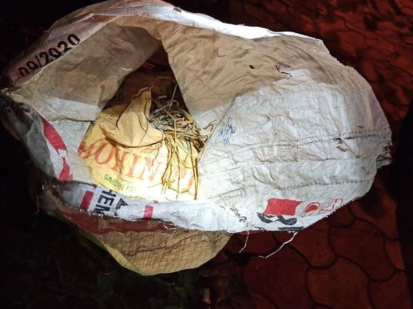 kolkata bjp office bomb