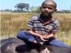 boy Buffalo video little boy sing a song funny viral video in hindi