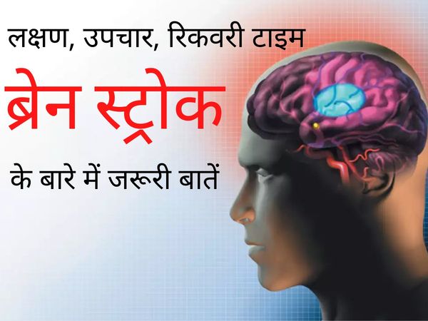 Brain Stroke meaning in hindi symptoms treatment recovery time 