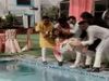 Dulhan Video Friends Throw Bride in Swimming pool Funny Video Goes Viral