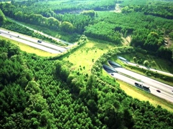 Businessman Anand Mahindra Urges Nitin Gadkari To Build Wildlife Bridges Over Highways after impress with a tweet  by Erik Solheim from Norway