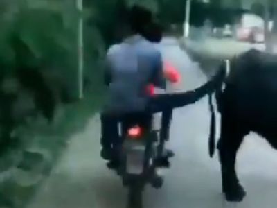 Viral Video Viral Video