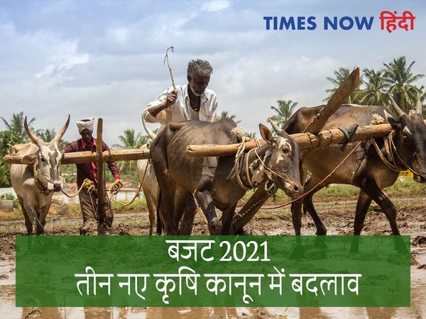 Agriculture Budget 2021: किसान आंदोलन के बीच अन्नदाताओं के लिए बड़े ऐलान