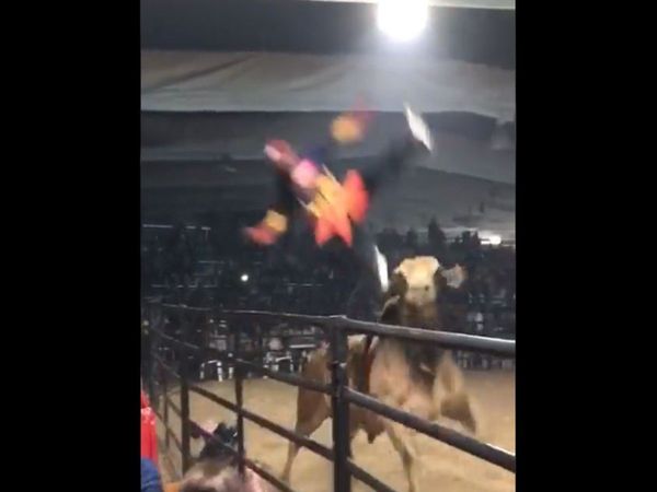 Bull Video Aggressive bull attack on people viral video in hindi
