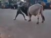 Desi Bahubali Video man fight with bull watch shocking viral video in hindi