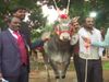 3.5 years old bull named Krishna Sold out 1 Crore rupees has become centre of attraction at Krishi Mela in Bengaluru