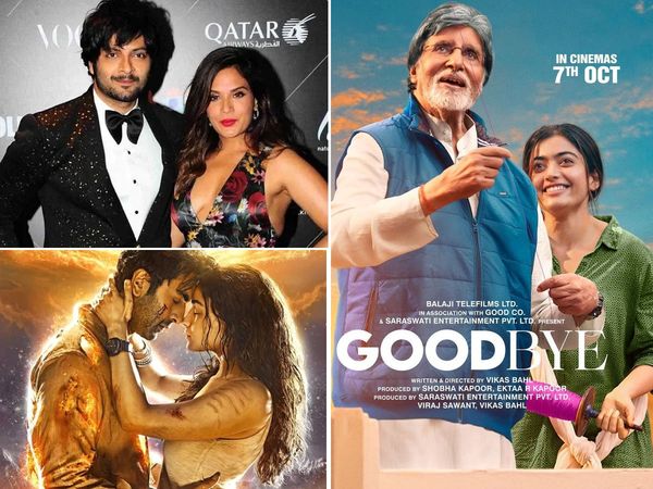 Bollywood Newsmakers of the day 6 September Goodbye Trailer, Alia Bhatt And Ranbir Kapoor Visit Mahakaleshwar Temple Ujjain, Richa Chadha- Ali Fazal Wedding, Laal Singh Chaddha ott release date- 