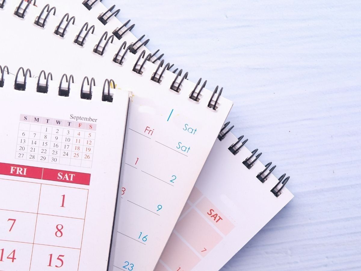 Holidays List 2022 Calendar, Sarkari Chutti List 2022 Lists of