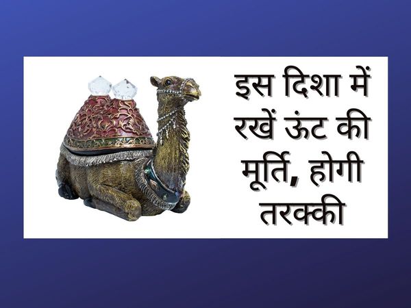 Vasti Tips For Camel Statue