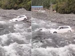जोश में आकर ड्राइवर ने उफनती नदी में उतार दी कार और फिर..