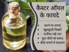 Garden Tips, Kitchen Tips, Castor oil, Diffrent Use Of Castor Oil, कैस्टर ऑयल का कैसे इस्तेमाल करें, कैस्टर ऑयल, किचन टिप्स, गार्डन टिप्स