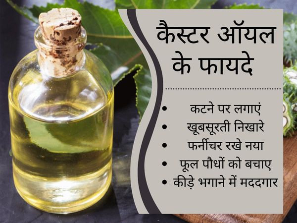 Garden Tips, Kitchen Tips, Castor oil, Diffrent Use Of Castor Oil, कैस्टर ऑयल का कैसे इस्तेमाल करें, कैस्टर ऑयल, किचन टिप्स, गार्डन टिप्स
