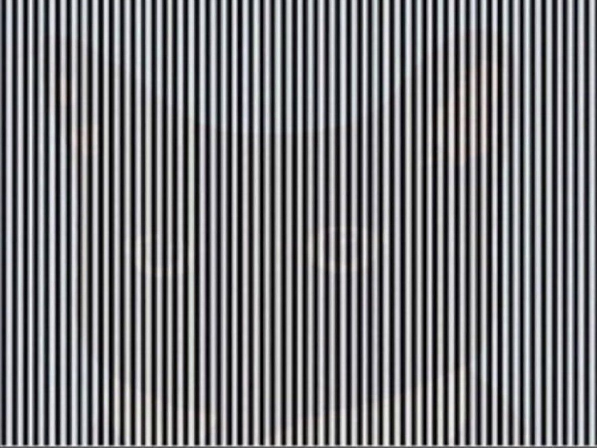 Optical Illusion: तस्वीर में छिपा है एक जानवर, बताने वाला समझा जाएगा दुनिया का सबसे जीनियस इंसान