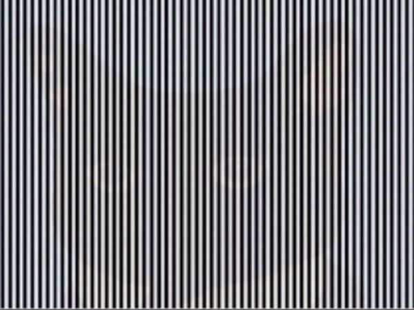 optical illusion