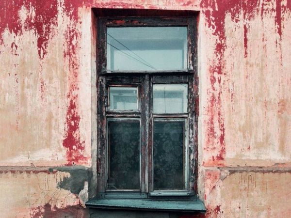 Cat Hidden in Viral Photo Cat Hidden in This Photo