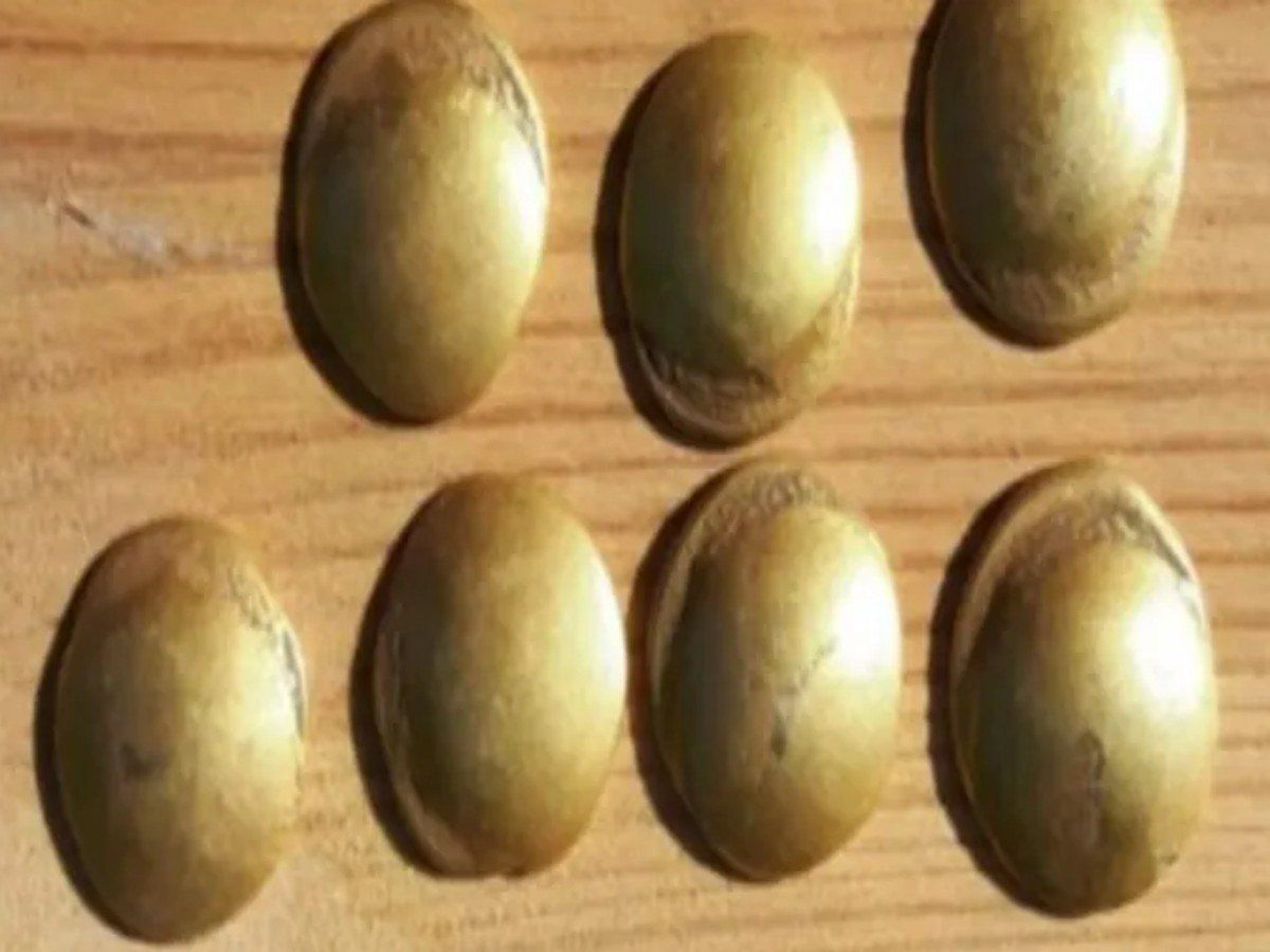 2 हजार साल से जमीन के अंदर दफन था गहरा राज, खुदाई के दौरान मिली बेशकीमती चीज