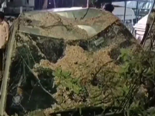 Chennai tree falls on car 55 year old woman dies 2 injured 