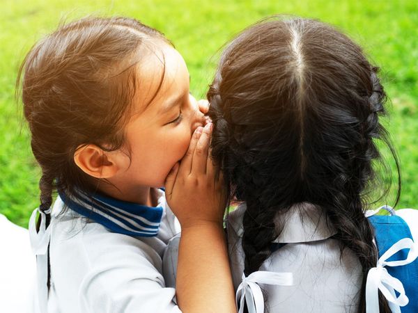 Two Child Policy News