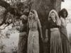 chipko movement