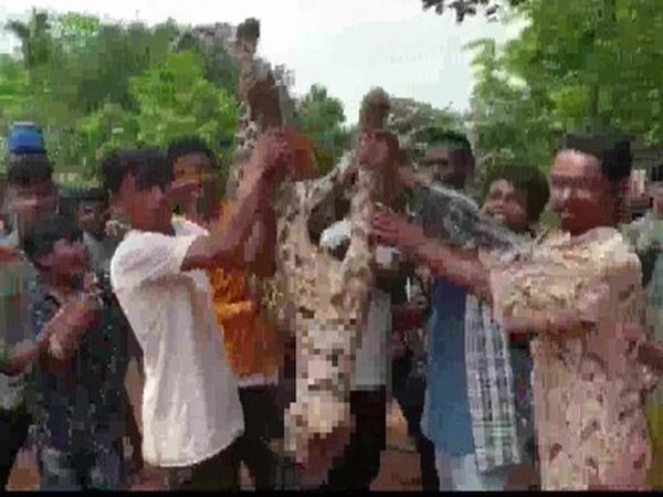 Six held for killing leopard in Assam