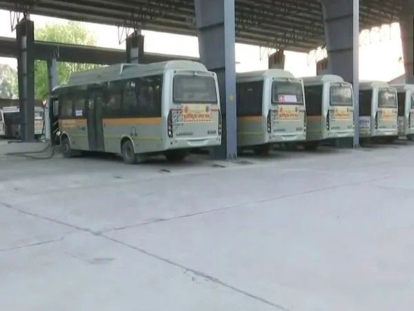 Lucknow City Buses