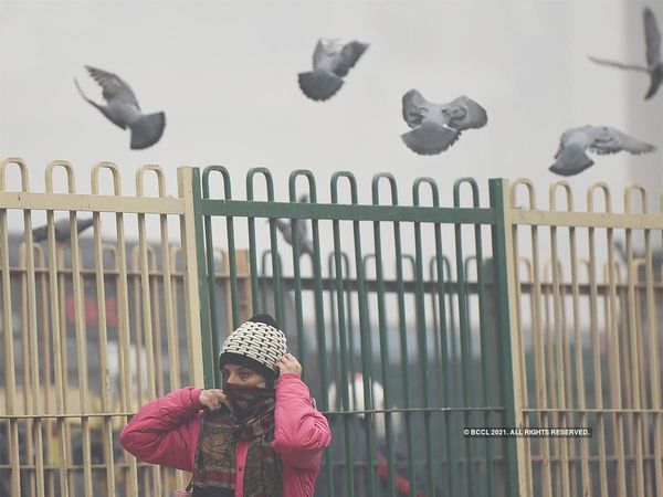 पूरे उत्तर भारत में हाड़ कंपाने वाली ठंड, 3 जनवरी से राहत की उम्मीद