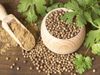 Coriander Seeds Ke Nuksan