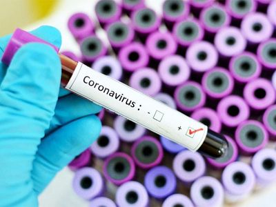 Corona virus Corona virus