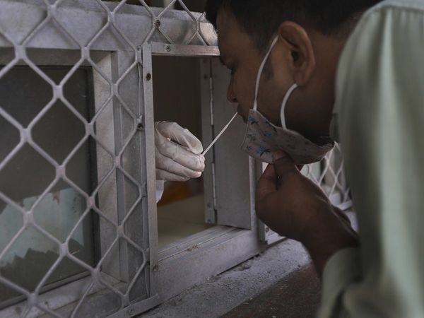 RT PCR test for corona