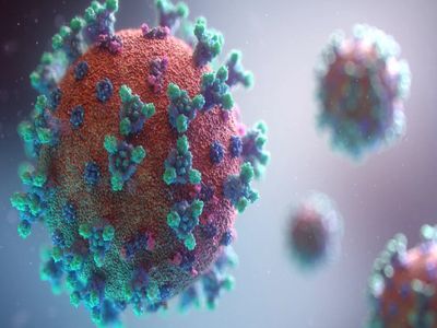 coronavirus coronavirus
