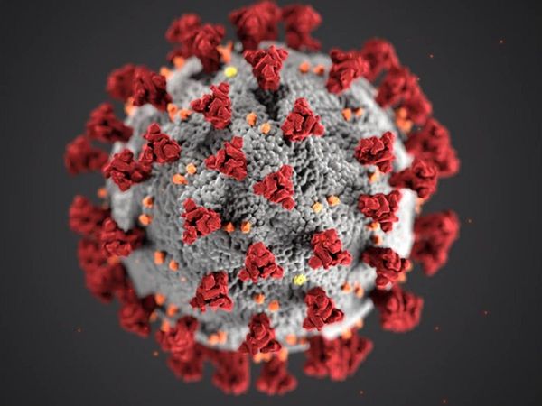 coronavirus