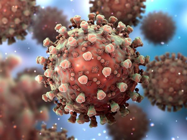 New variant of coronavirus| variant of coronavirus kappa variant,kappa variant kya hai,  डेल्टा के बाद आया अब कोरोना का नया कप्पा वैरिएंट,कप्पा वैरिएंट क्या है, कप्पा वैरिएंट के क्या लक्षण है,kappa variant its symptoms