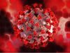 Coronavirus: ????????? ???? ?? 2 ?? ?? ????, ?? ?????? ?? ?????, ?????? ?????-19 ?? ????? ???? ?? ?? ??????