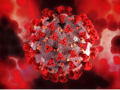 Coronavirus: पर्याप्त नहीं है 2 गज की दूरी, पर मास्क है जरूरी, जानिये कोविड-19 पर क्या कहती है नई रिसर्च Coronavirus: पर्याप्त नहीं है 2 गज की दूरी, पर मास्क है जरूरी, जानिये कोविड-19 पर क्या कहती है नई रिसर्च