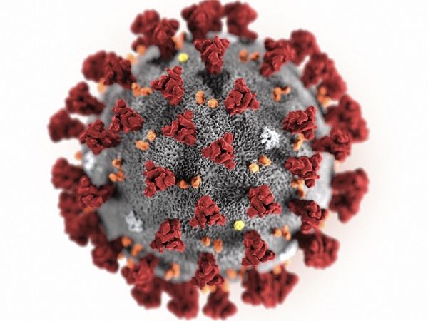 कोरोना के जोखिम को कम करती है कोलेस्ट्रॉल की दवा! वैज्ञानिकों का चौंकाने वाला दावा