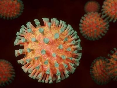 Omicron Cases Detected In India