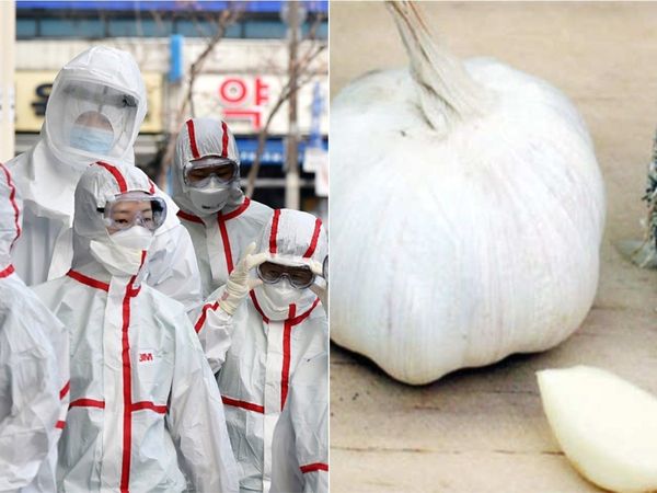  Coronavirus if garlic is helpful to protect from deadly virus know how to deal with it and who are more prone to it